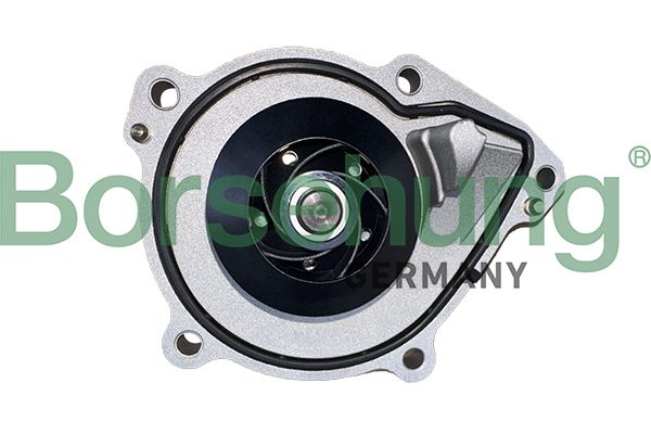 WATER PUMP BORSHUNG BMW PSA