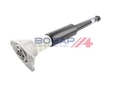 SHOCK ABSORBER ASSY REAR BOGAP BMW