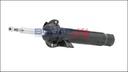 SHOCK ABSORBER ASSY LHF BOGAP BMW