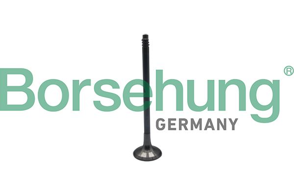 VALVE EXHAUST BORSEHUNG BMW