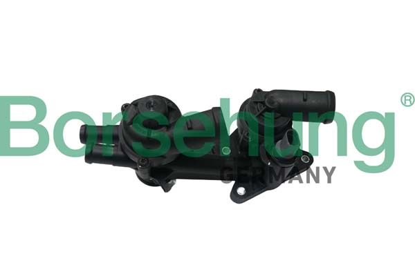 THERMOSTAT WITH HOUSING BORSEHUNG VAG