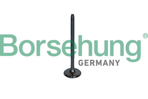 VALVE EXHUAST BORSEHUNG BMW