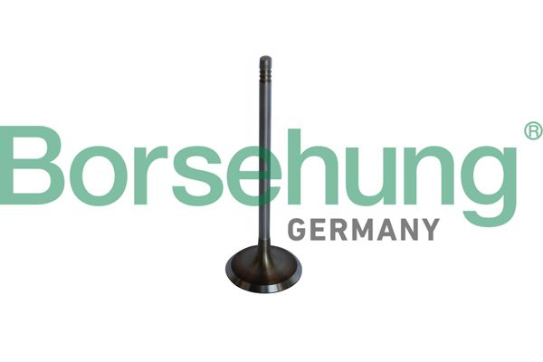 VALVE INLET BORSEHUNG BMW