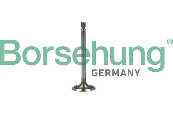 VALVE INLET BORSEHUNG VAG