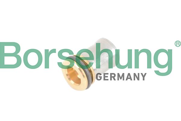 NON-RETURN VALVE BORSEHUNG VAG