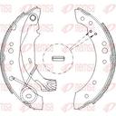 BRAKE SHOE REAR REMSA PSA