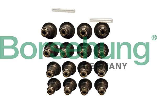 VALVE STEM SEAL KIT BORSEHUNG BMW