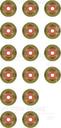 VALVE STEM SEAL KIT VICTOR REINZ BMW