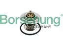 THERMOSTAT WITH O-RING BORSEHUNG VAG