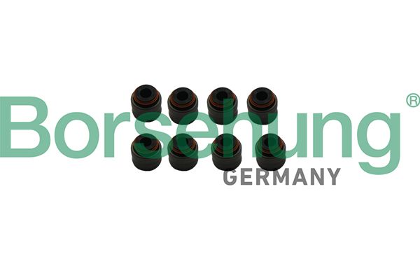 VALVE STEM SEAL SET OUTLET BORSEHUNG VAG