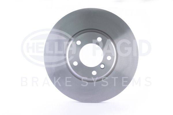 FRONT DISC PAGID BMW