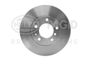 FRONT DISC PAGID BMW