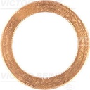 VANOS LINE WASHER VICTOR REINZ BMW