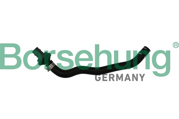 BREATHER HOSE W/VALVE BORSEHUNG VAG