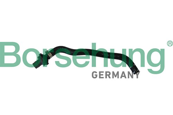 BREATHER HOSE WITH VALVE BORSEHUNG VAG