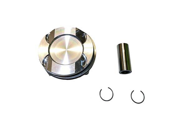 PISTON ASSY BORSEHUNG BMW