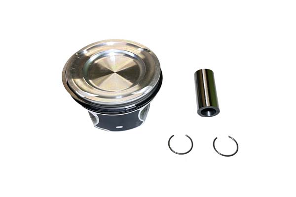 PISTON ASSY BORSEHUNG MERC