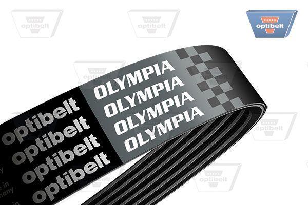 DRIVE BELT KOLEOS(HY) 2.5 6PK1808 OPTIBELT