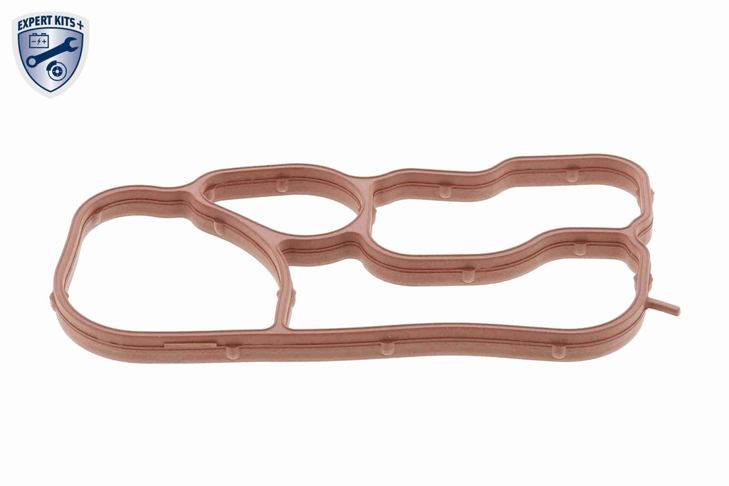 OIL COOLER TO HOUSING GASKET VEMO VAG