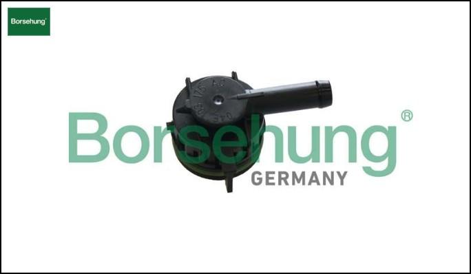 PCV VALVE BORSEHUNG VAG