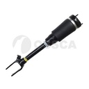 AIR STRUT FRONT OSSCA MERC