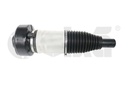 AIR STRUT FRONT VIKA VAG