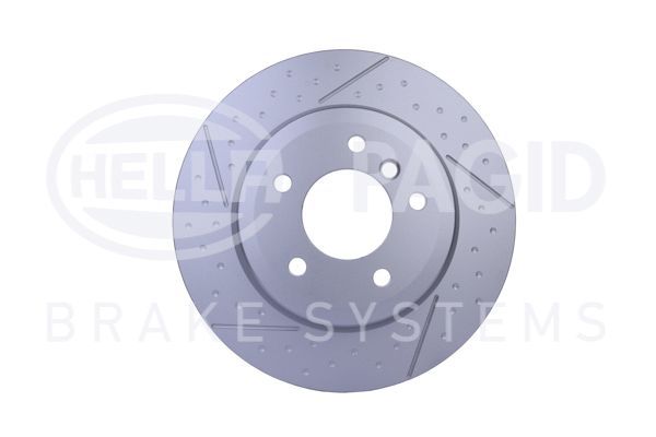 REAR DISC PAGID BMW
