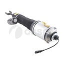 AIR STRUT LHF OSSCA BENTLEY