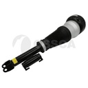AIR STRUT LHF OSSCA MERC