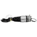 AIR STRUT LHF OSSCA VAG