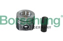 PISTON WITH RING KIT STD BORSEHUNG VAG