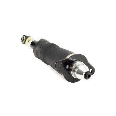 AIR STRUT REAR ARNOTT VAG