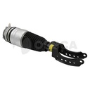 AIR STRUT RHF OSSCA VAG