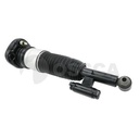 AIR STRUT RHR OSSCA BMW