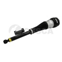 AIR STRUT RHR OSSCA MERC