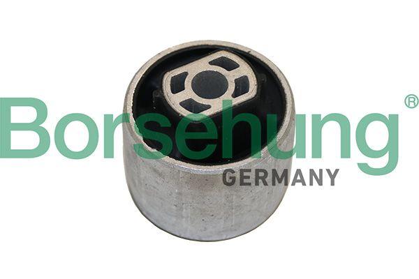 REAR TRAILING ARM BUSH BORSEHUNG VAG