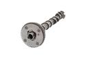CAMSHAFT INTAKE BORSEHUNG VAG*