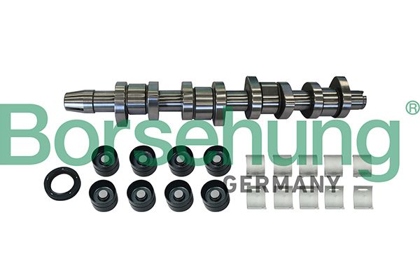 CAMSHAFT KIT BORSEHUNG VAG
