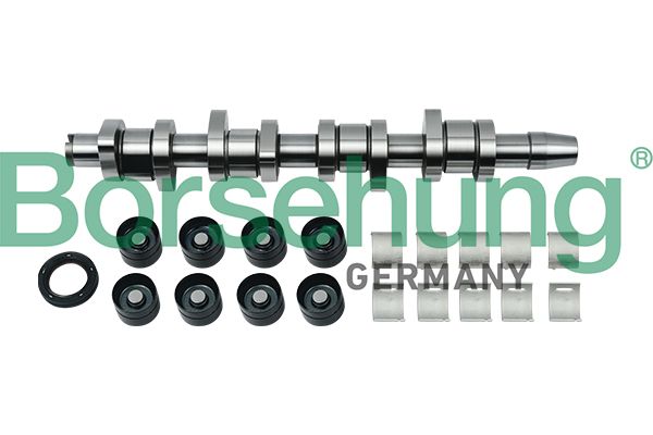 CAMSHAFT KIT BORSEHUNG VAG