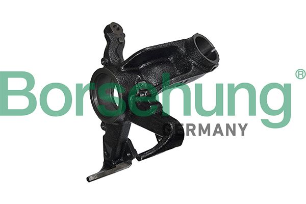 STUB AXLE RHF BORSEHUNG VAG