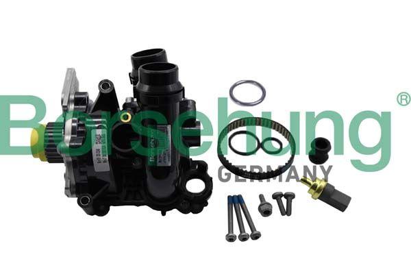 WATER PUMP KIT W/BELT  BORSEHUNG VAG