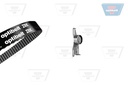 TIMING BELT KIT OPTIBELT PSA