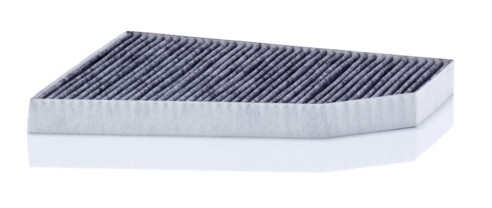 A/C MICRO FILTER [CARBON] MANN TESLA