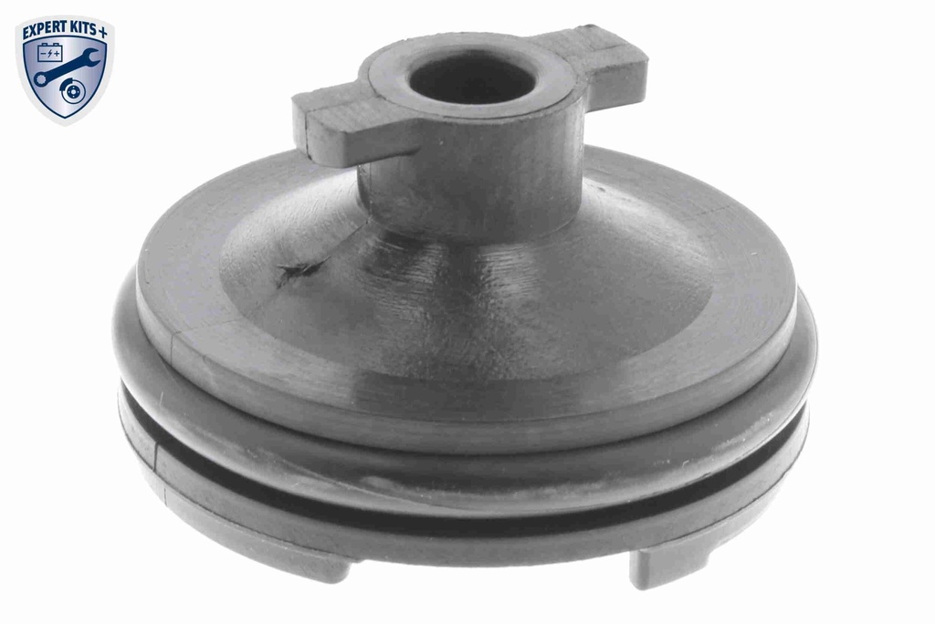SUMP PLUG VAICO PSA