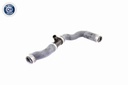 RADIATOR HOSE LOWER VAICO MERC