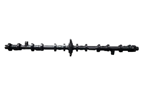 ECCENTRIC SHAFT BORSEHUNG BMW