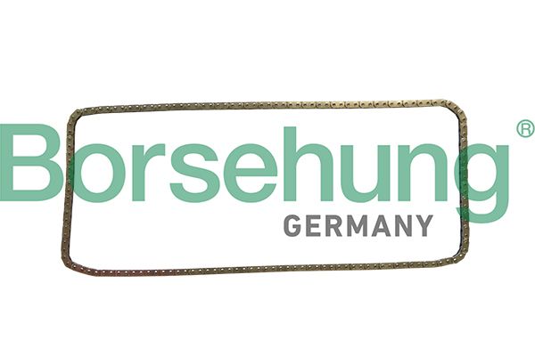 TIMING CHAIN BORSEHUNG BMW