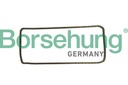 TIMING CHAIN BORSEHUNG BMW