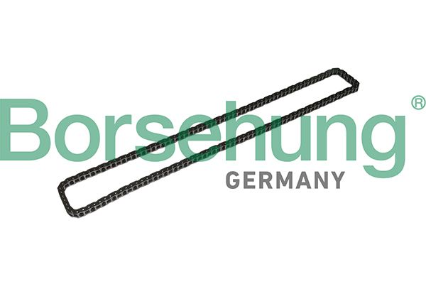 TIMING CHAIN BORSEHUNG BMW
