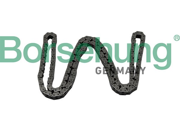TIMING CHAIN BORSEHUNG VAG